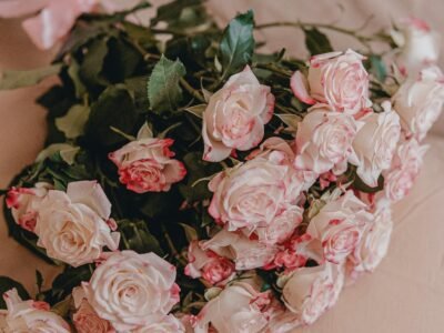 Producto Demostración